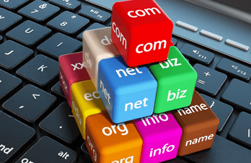 Transfer Domain Name