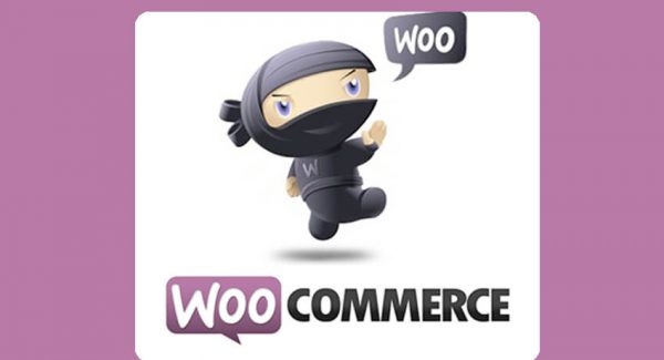 WooCommerce Developer