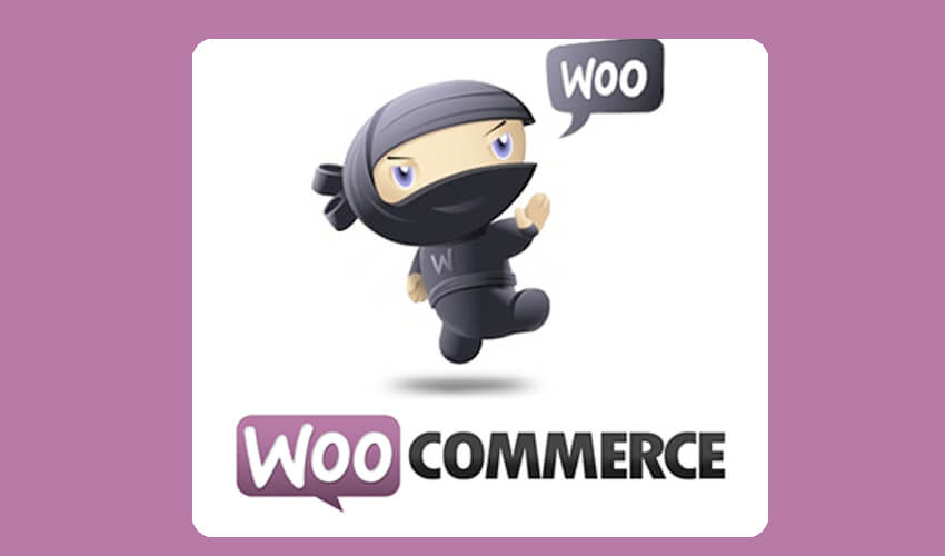 WooCommerce Developer