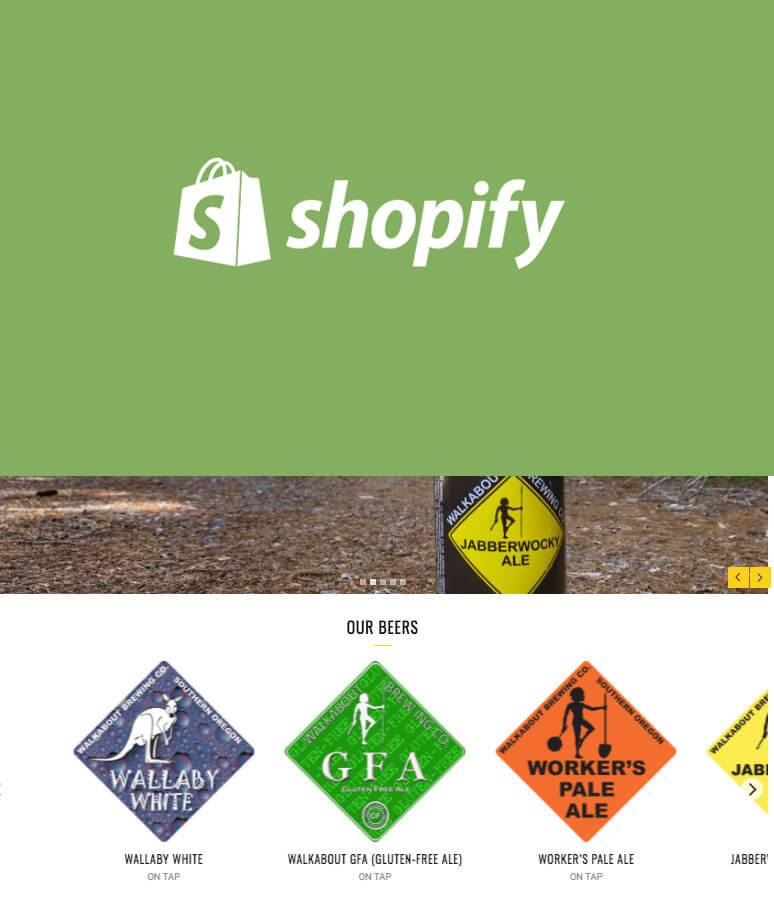 How to Add Product Carousel to Homepage Shopify