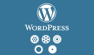 Wordpress Website Maintenance Plan Basic