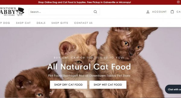 Downtown Tabby Pet Store, Gainesville Florida - Website Design Shopify eCommerce Development - After Dark Grafx