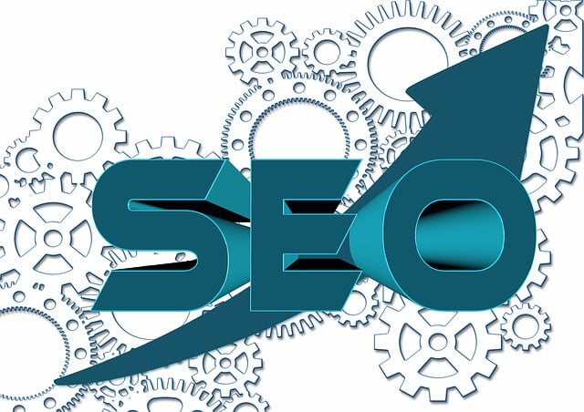 SEO Health